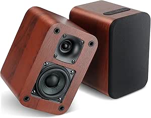 RIOWOIS Powered Bookshelf Speakers Review